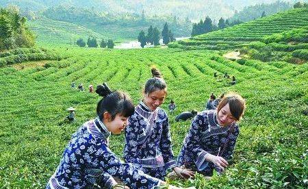 江西农民户口有什么政策,江西户籍留在江西工作有补贴吗