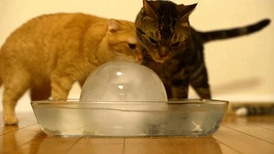 厕所串串是怎么吃的,厕所串串哪家最正宗