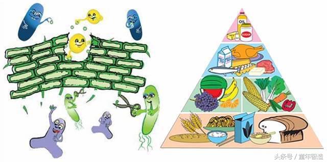 科学养娃真的科学么,科学有用常识小知识