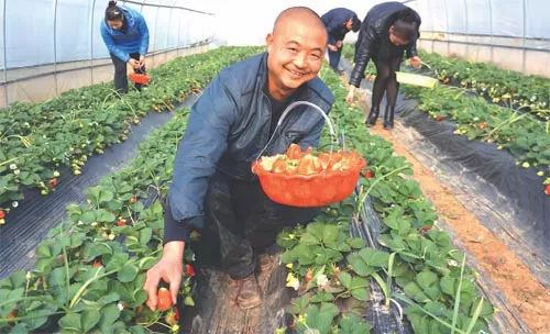 江西农民户口有什么政策,江西户籍留在江西工作有补贴吗