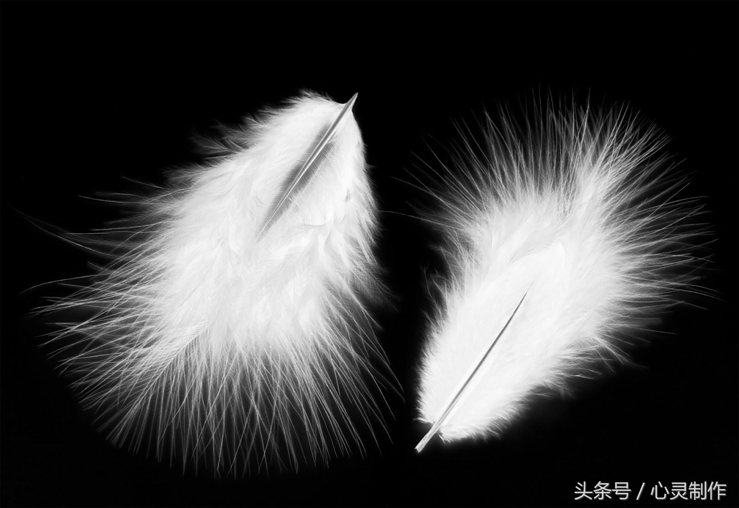 ps最常用的抠图最快又完整的方法,ps抠图最快又完整的方法最新版