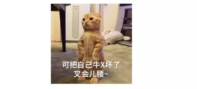 打开X付宝，多赚5%的彩蛋你一定喜欢