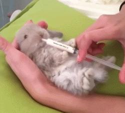 冬天这么冷就多互相温暖吧,冬天这么冷我们互相取暖