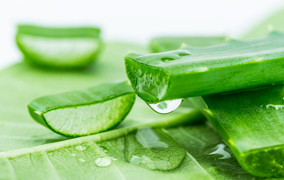 自然保湿芦荟胶除痘印吗,官方正品芦荟胶保湿舒缓祛痘印