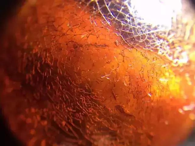 蜜蜡镶嵌,蜜蜡如何防止裂