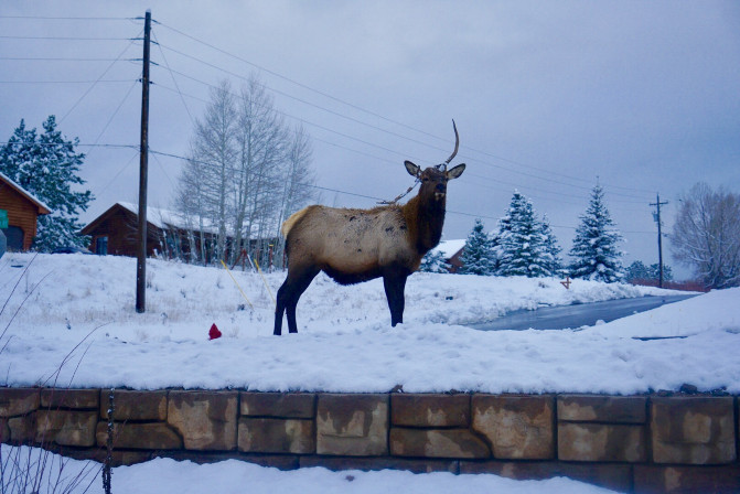 科罗拉多州到洛杉矶,科罗拉多州五月自驾