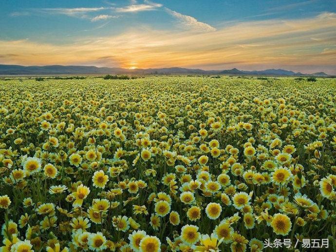 另一半存在的问题,另一半有异性知己你会在意吗