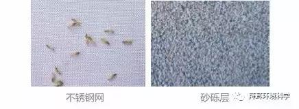 门框被白蚁蛀了怎么处理,防白蚁处理是在装修的哪个步骤