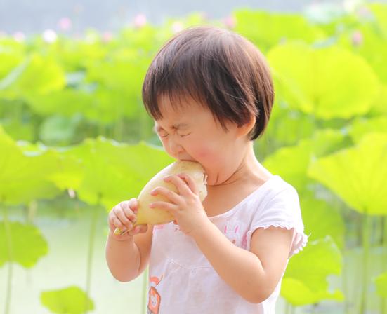 洪湖80后夫妻网络直播挖藕，“青泥巴”里一年淘金600万