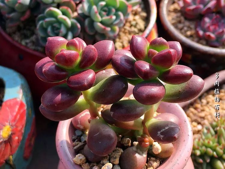 视觉盛宴美不胜收美图,视觉盛宴每个画面都美极了