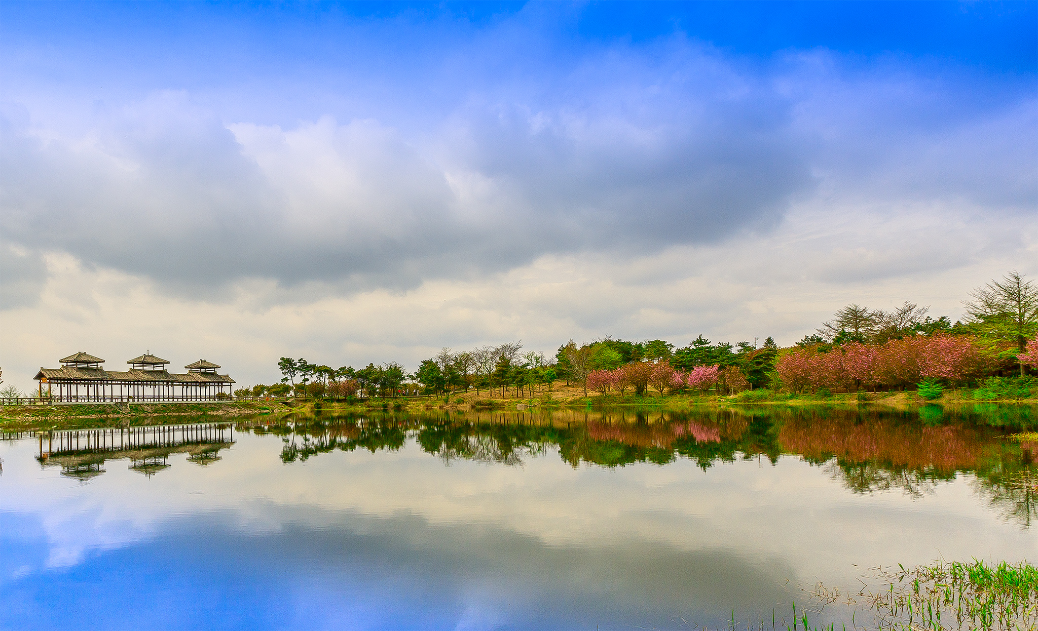 四明山地质公园和四明山森林公园,观四明山云海仙境有感