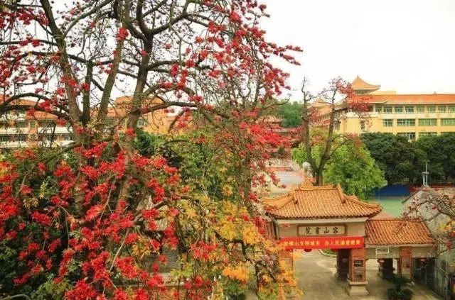 顺德最厉害的地方,十个算你厉害的人