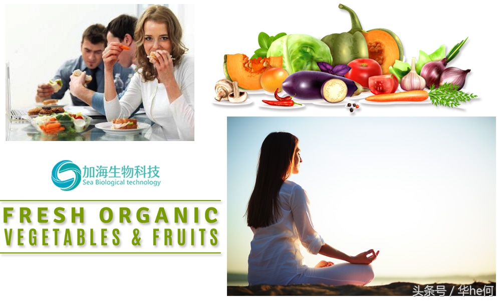 奇力宝酵素饮,奇力晶酵素