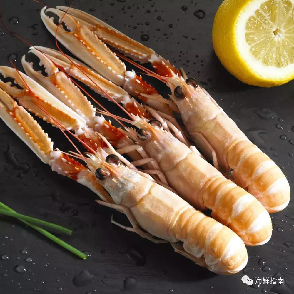 海鳌虾极品刺身,新西兰最好吃的海鳌虾