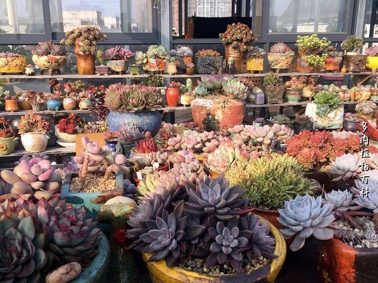 视觉盛宴美不胜收美图,视觉盛宴每个画面都美极了