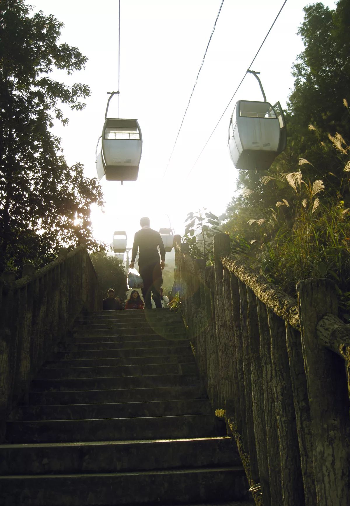 川外成都学院重庆,一个魔幻的佛系女子学院