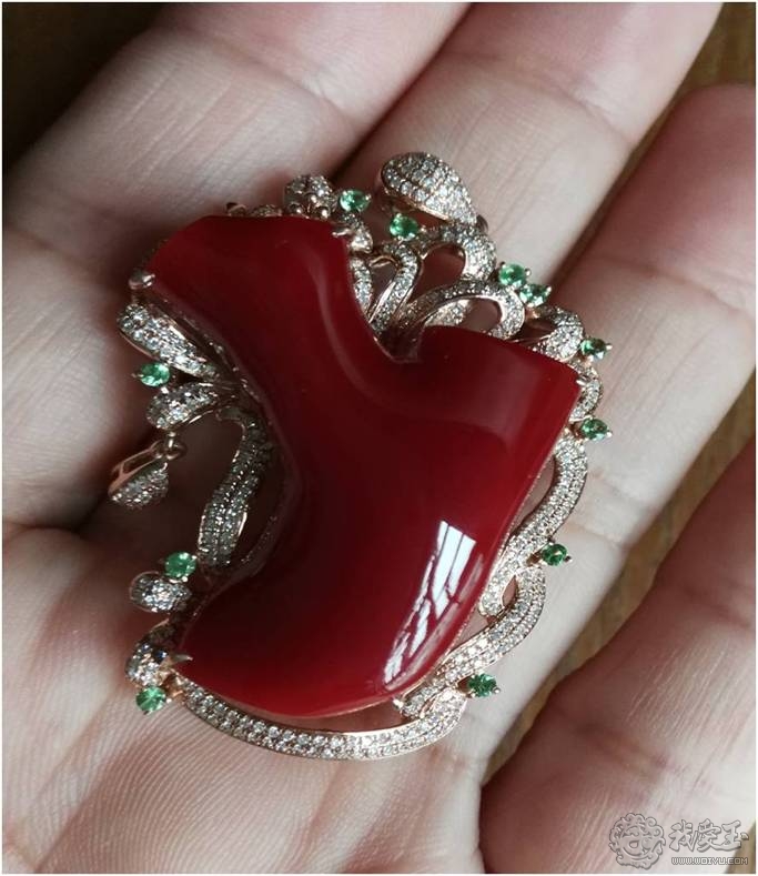 你印象中的珊瑚是怎么样的？关于价格看色的珊瑚究竟如何？来看看