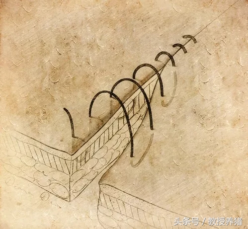 猪手术缝针打结方法,猪缝合手术全过程