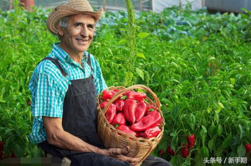 10种赚钱最简单的方法,农民在家创业什么项目最赚钱