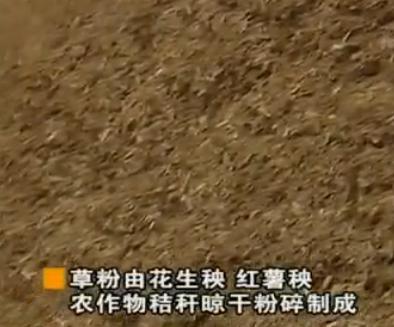 养殖投资小见效快项目,最省钱的养殖新模式