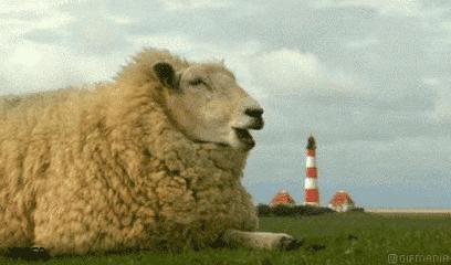 羊绒羊毛衫洗护小知识,生活小妙招羊绒衣清洗视频