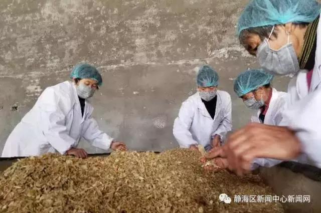 儿时的味道冬菜,年味冬菜