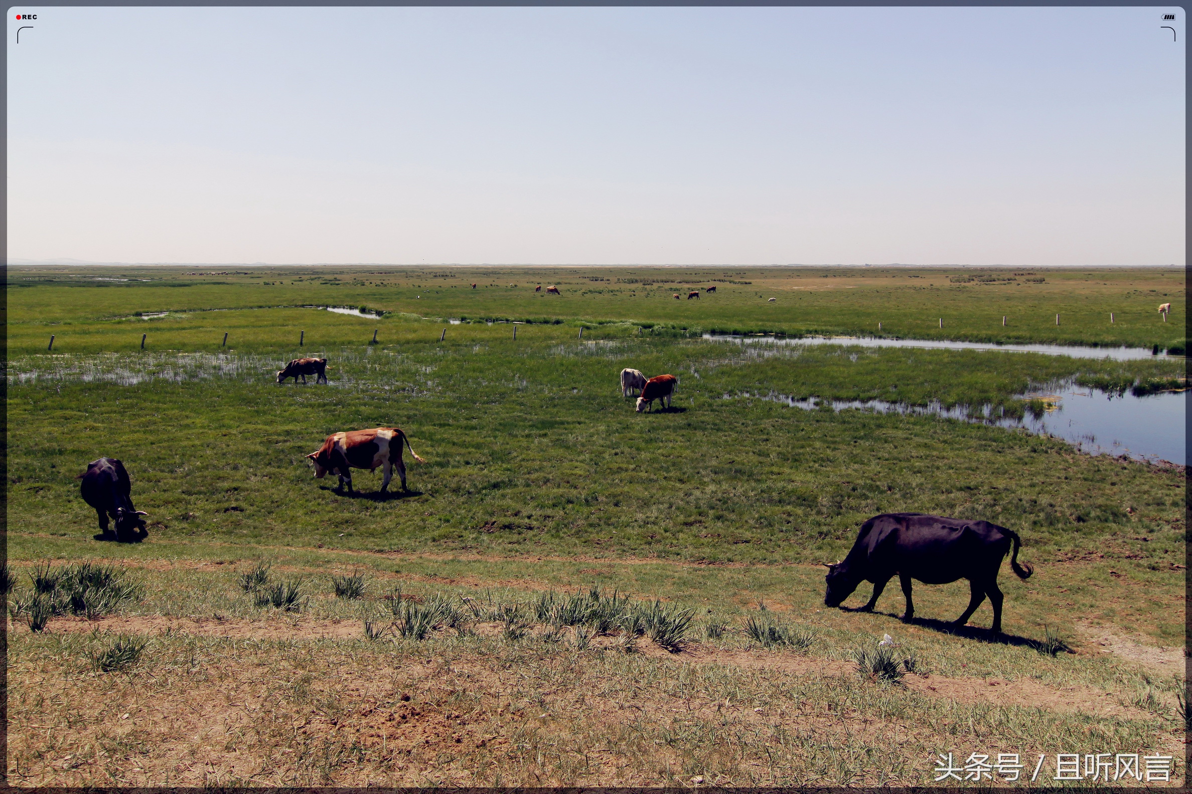达里诺尔湖到锡林郭勒,锡林郭勒四天三晚旅游攻略自驾游