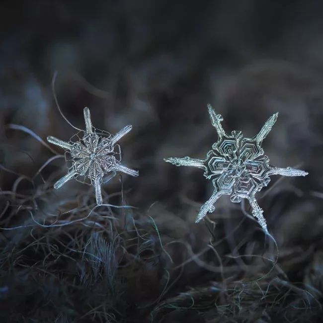 历时8年用微距镜头拍摄的雪花,超级微距拍摄雪花