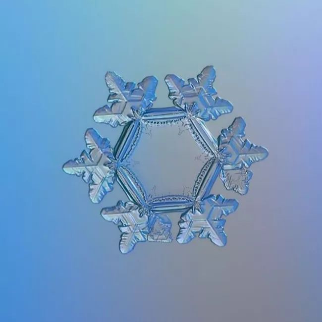 历时8年用微距镜头拍摄的雪花,超级微距拍摄雪花