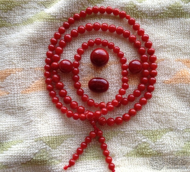 什么样的珊瑚是最好的,最好看的十种珊瑚