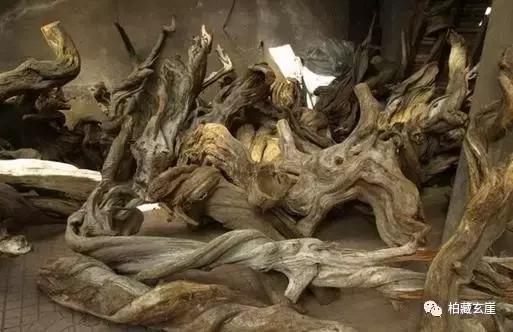 树根变艺术品,万万没想到竹根雕竟也能玉化包浆