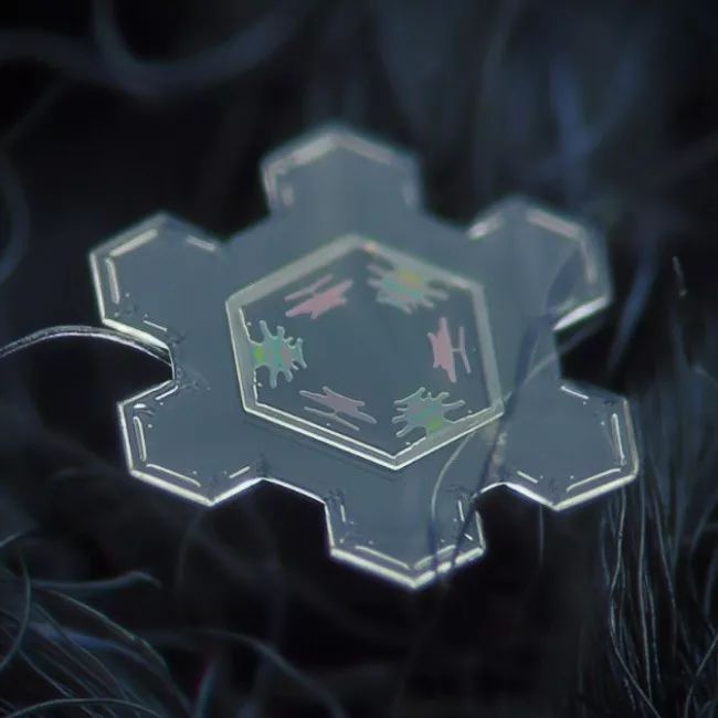 历时8年用微距镜头拍摄的雪花,超级微距拍摄雪花