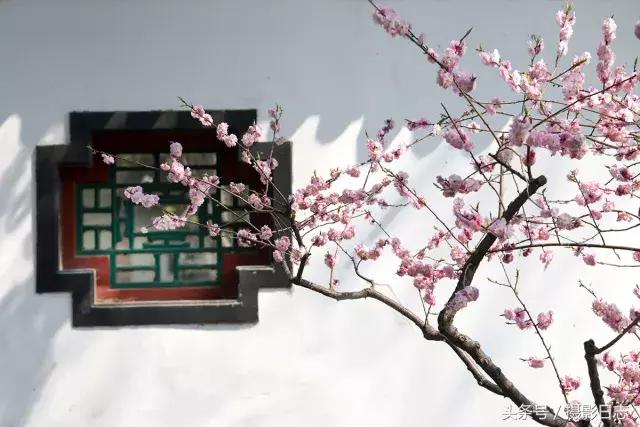 公益摄影比赛,古建摄影大赛