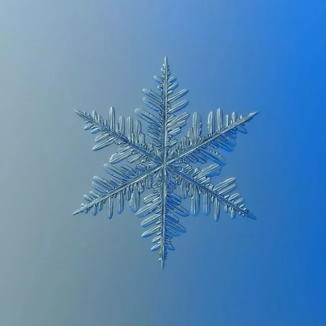 历时8年用微距镜头拍摄的雪花,超级微距拍摄雪花