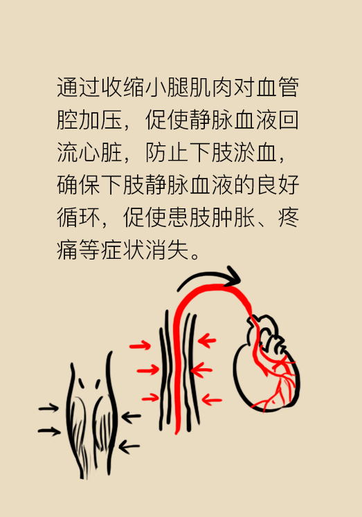 压力袜穿久了没脱,压力袜穿起来很紧还能穿吗