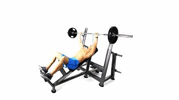 中年人健身房一周训练计划,健身房一周训练计划app