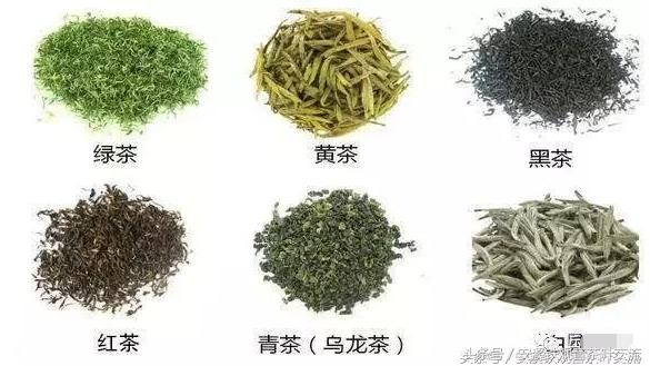 纯正铁观音有什么特点,什么是真正的铁观音茶