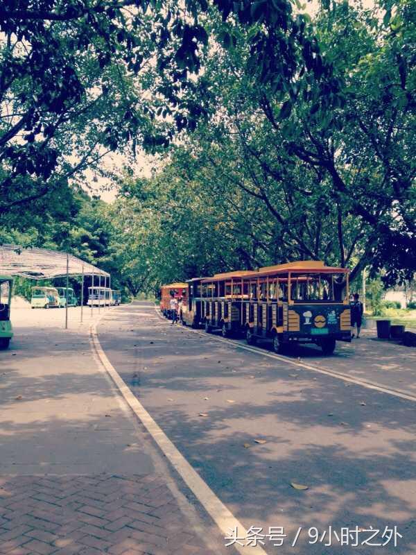 湛江空气质量全国排名,中国大陆最南端在湛江哪个镇