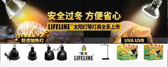 仓鼠饲养八大禁忌仓鼠能活多久,萌新养仓鼠注意事项