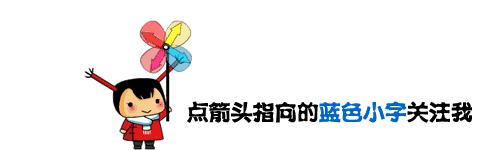 常见海水观赏虾大全,海水观赏虾饲养环境