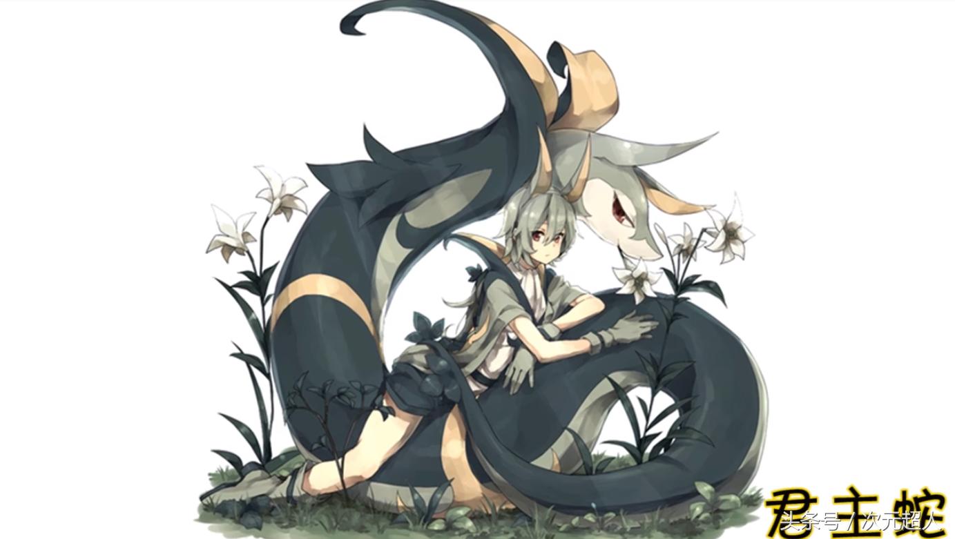 神奇宝贝中拟人化的精灵,当神奇宝贝中的洛奇亚变属性