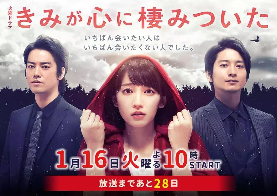 那些年一起追的剧2018,那些年一起追过的剧2018