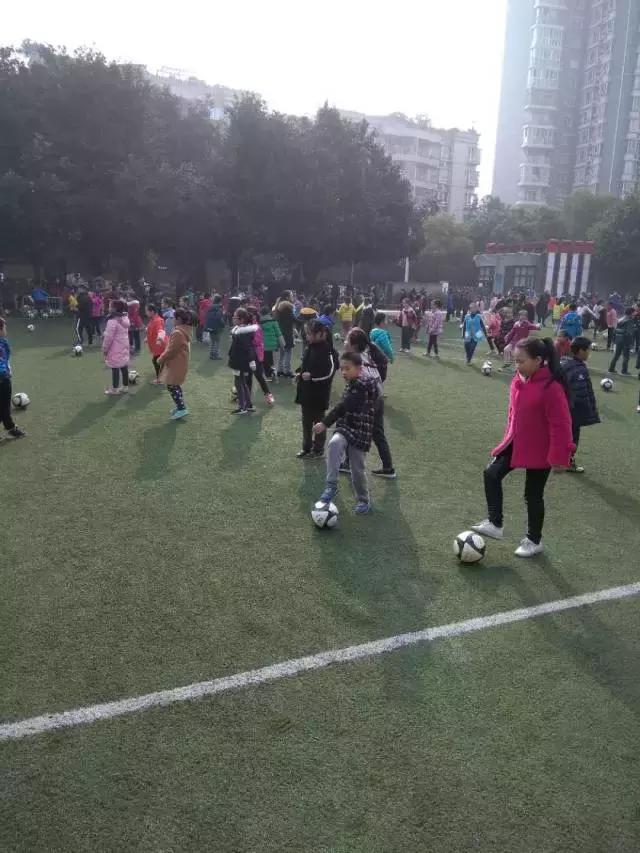 青岛教科院课题立项,青岛39中研学