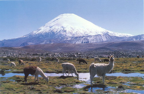 南美旅游攻略一日游最佳路线推荐,南美四国游注意事项