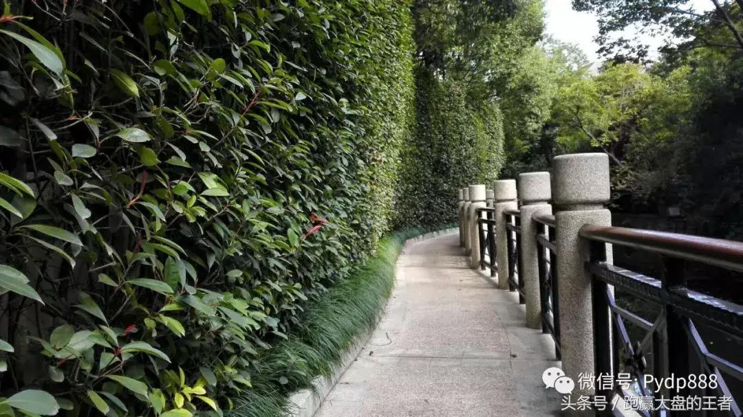 「斗K」理念把握遍地黄金，中国股市戏剧性场面何时出现？