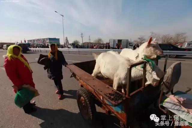 赶会啦偃师各地会期时间表