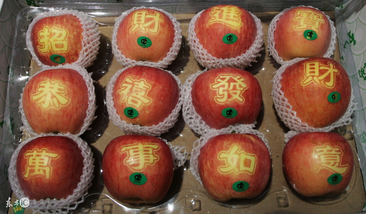 在农村适合做什么小生意项目,在农村有什么好的家庭致富项目