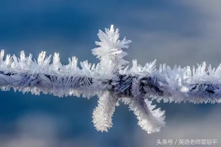 圣诞节英语口语活动,christmas英语教学视频