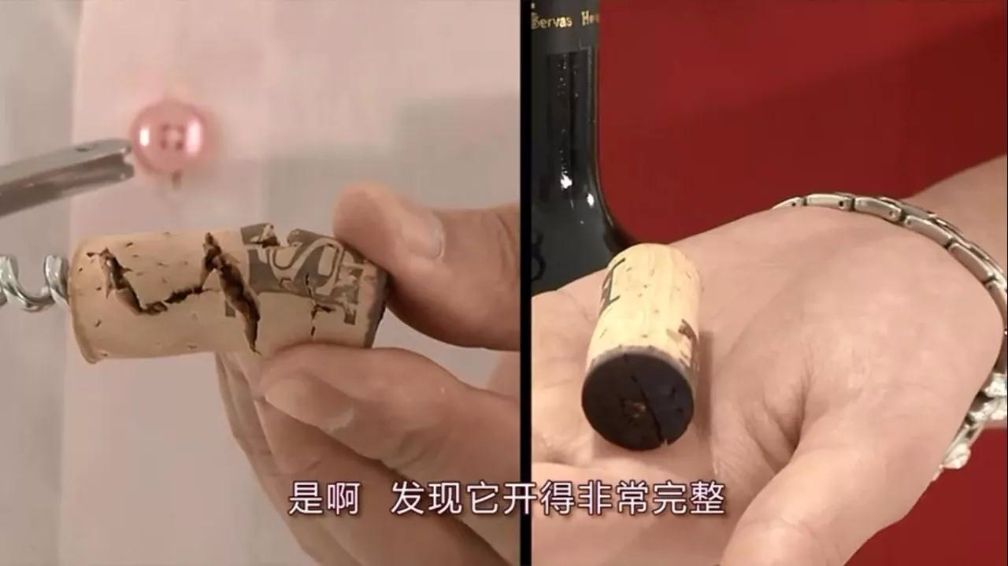 这个开瓶器太有创意了,红酒开瓶器醒酒专用神器最新款