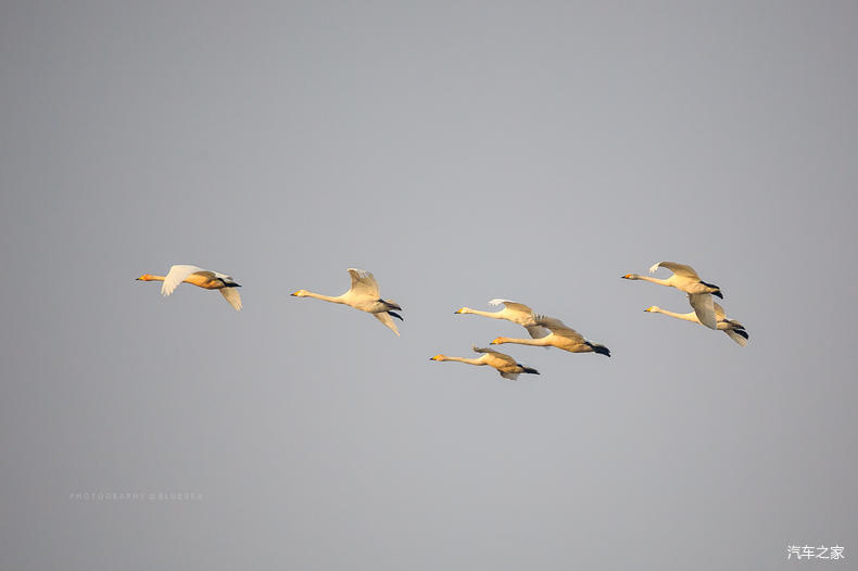 家乡之美美篇,家乡之美原唱完整版